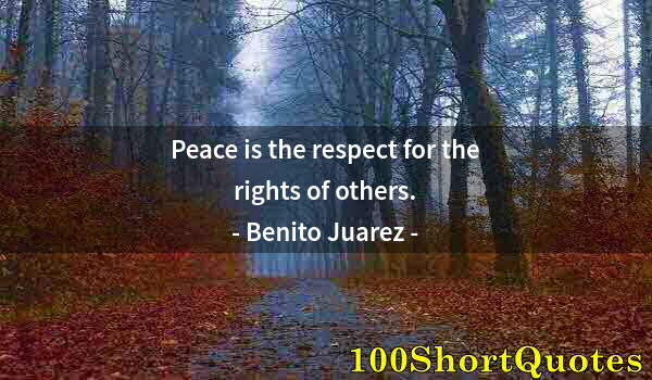 Quote by Albert Einstein: Peace is the respect for the rights of others.