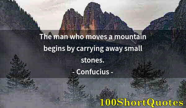 Quote by Albert Einstein: The man who moves a mountain begins by carrying away small stones.