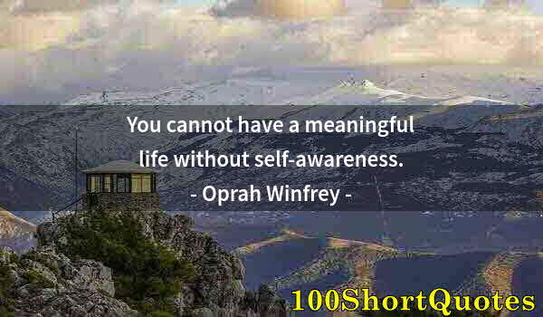 Quote by Albert Einstein: You cannot have a meaningful life without self-awareness.