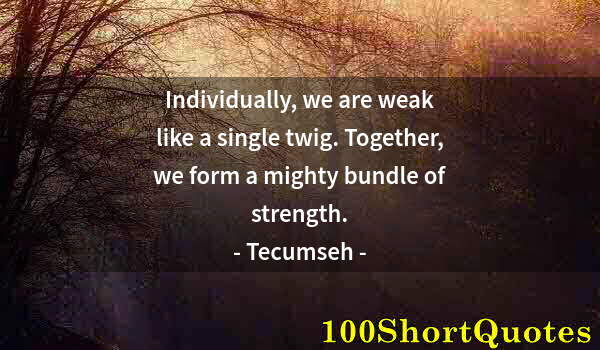 Quote by Albert Einstein: Individually, we are weak like a single twig. Together, we form a mighty bundle of strength.