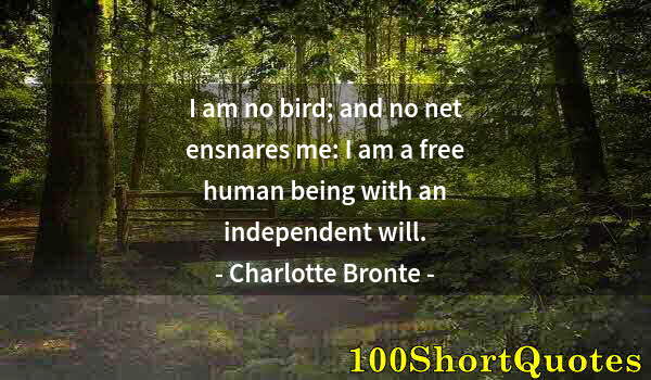 Quote by Albert Einstein: I am no bird; and no net ensnares me: I am a free human being with an independent will.