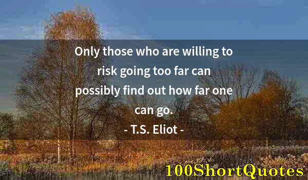 Quote by Albert Einstein: Only those who are willing to risk going too far can possibly find out how far one can go.