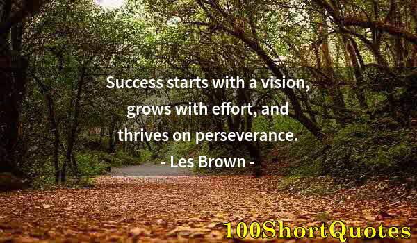 Quote by Albert Einstein: Success starts with a vision, grows with effort, and thrives on perseverance.