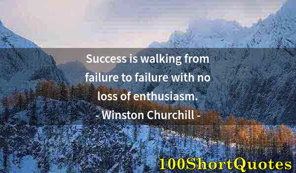 Quote by Albert Einstein: Success is walking from failure to failure with no loss of enthusiasm.