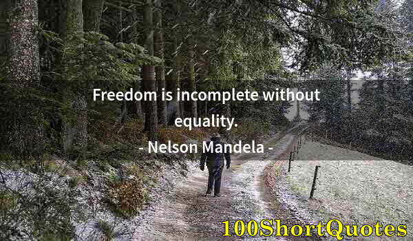 Quote by Albert Einstein: Freedom is incomplete without equality.