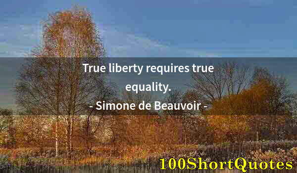 Quote by Albert Einstein: True liberty requires true equality.