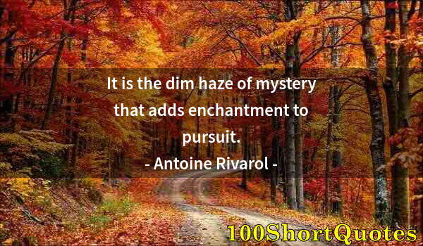 Quote by Albert Einstein: It is the dim haze of mystery that adds enchantment to pursuit.