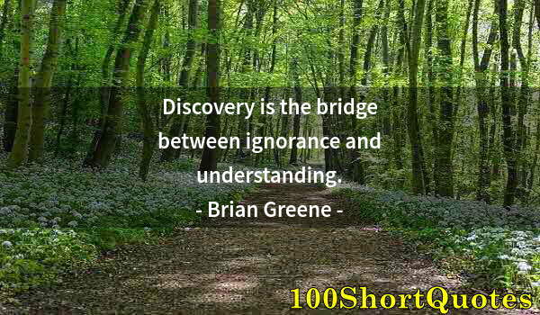 Quote by Albert Einstein: Discovery is the bridge between ignorance and understanding.