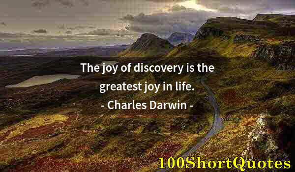 Quote by Albert Einstein: The joy of discovery is the greatest joy in life.