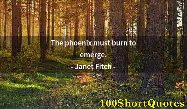 Quote by Albert Einstein: The phoenix must burn to emerge.