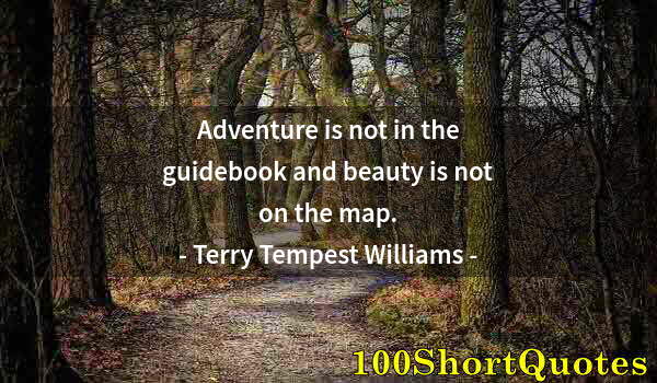 Quote by Albert Einstein: Adventure is not in the guidebook and beauty is not on the map.