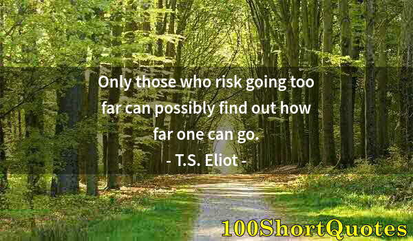 Quote by Albert Einstein: Only those who risk going too far can possibly find out how far one can go.