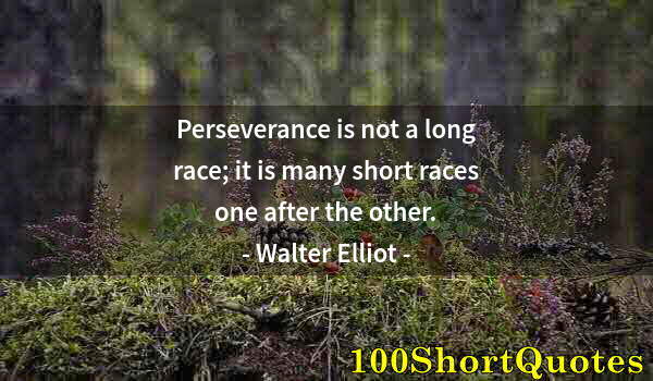 Quote by Albert Einstein: Perseverance is not a long race; it is many short races one after the other.