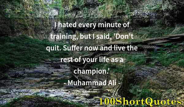 Quote by Albert Einstein: I hated every minute of training, but I said, 'Don't quit. Suffer now and live the rest of your life...