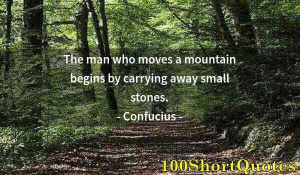 Quote by Albert Einstein: The man who moves a mountain begins by carrying away small stones.