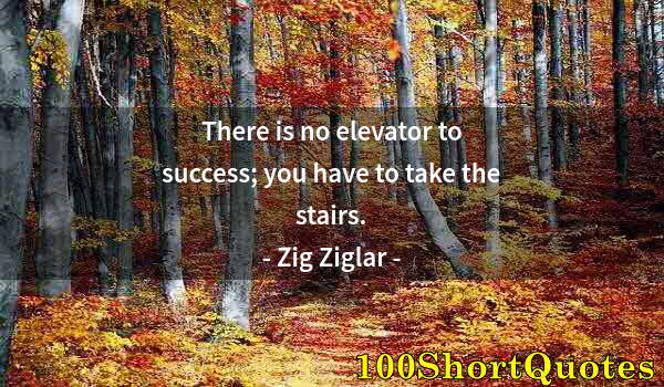 Quote by Albert Einstein: There is no elevator to success; you have to take the stairs.