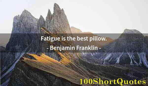 Quote by Albert Einstein: Fatigue is the best pillow.