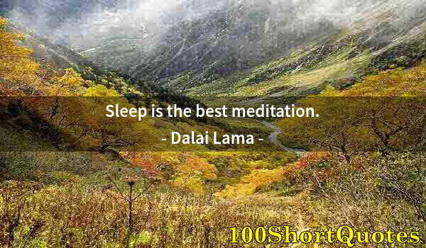 Quote by Albert Einstein: Sleep is the best meditation.