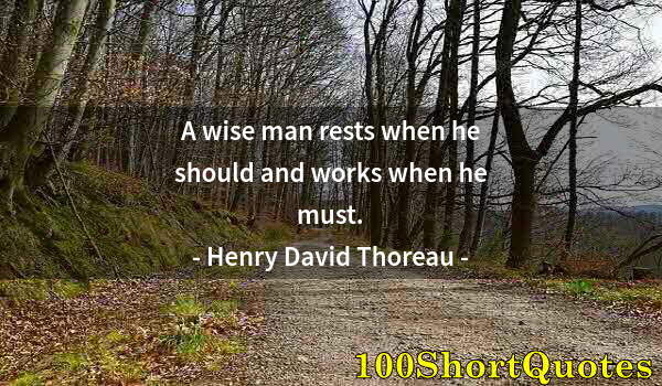 Quote by Albert Einstein: A wise man rests when he should and works when he must.