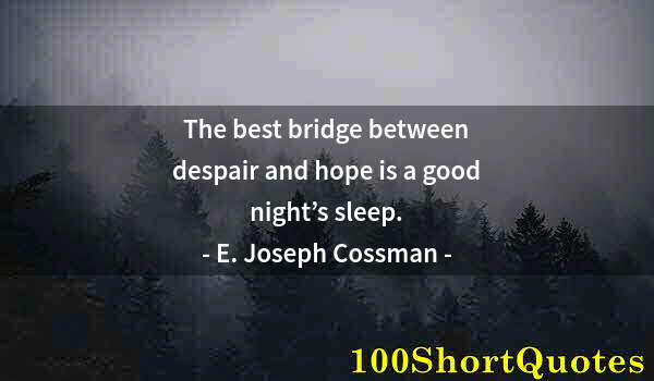 Quote by Albert Einstein: The best bridge between despair and hope is a good night’s sleep.