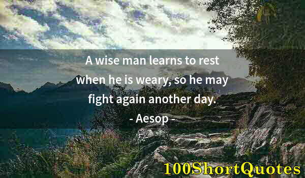 Quote by Albert Einstein: A wise man learns to rest when he is weary, so he may fight again another day.