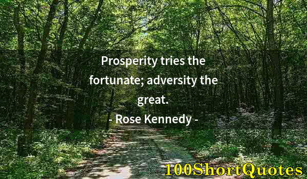 Quote by Albert Einstein: Prosperity tries the fortunate; adversity the great.