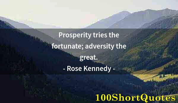 Quote by Albert Einstein: Prosperity tries the fortunate; adversity the great.