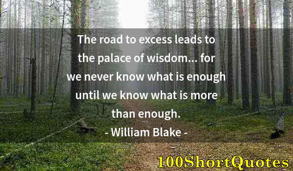 Quote by Albert Einstein: The road to excess leads to the palace of wisdom... for we never know what is enough until we know w...