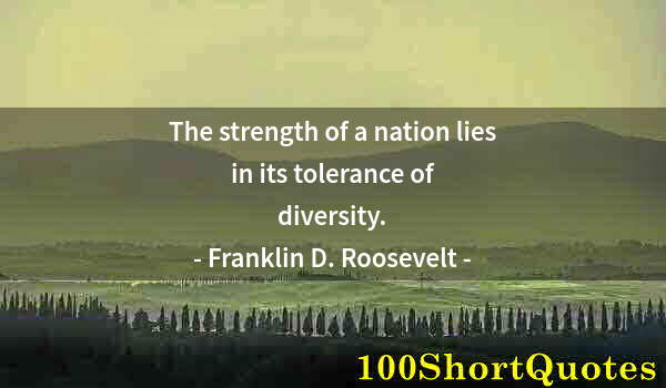 Quote by Albert Einstein: The strength of a nation lies in its tolerance of diversity.