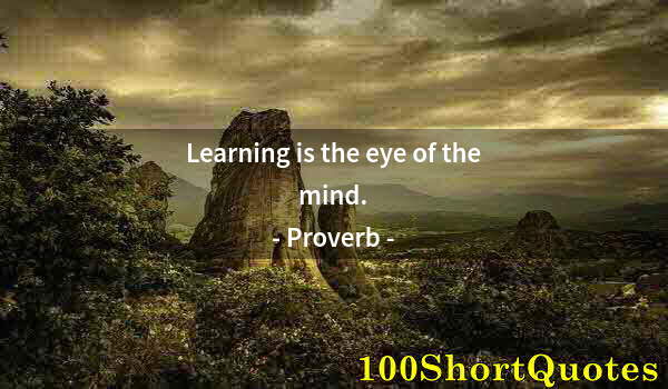 Quote by Albert Einstein: Learning is the eye of the mind.