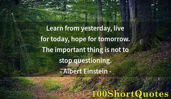 Quote by Albert Einstein: Learn from yesterday, live for today, hope for tomorrow. The important thing is not to stop question...