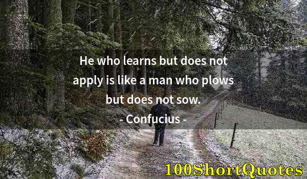 Quote by Albert Einstein: He who learns but does not apply is like a man who plows but does not sow.