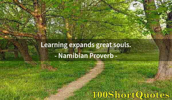 Quote by Albert Einstein: Learning expands great souls.